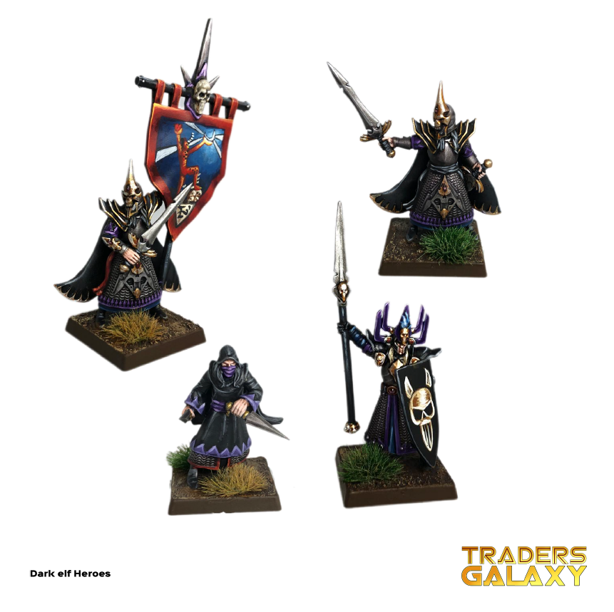 Dark Elf Heroes and Assassin Set