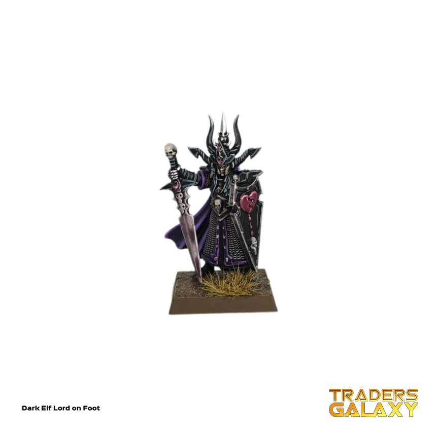 Dark Elf Lord
