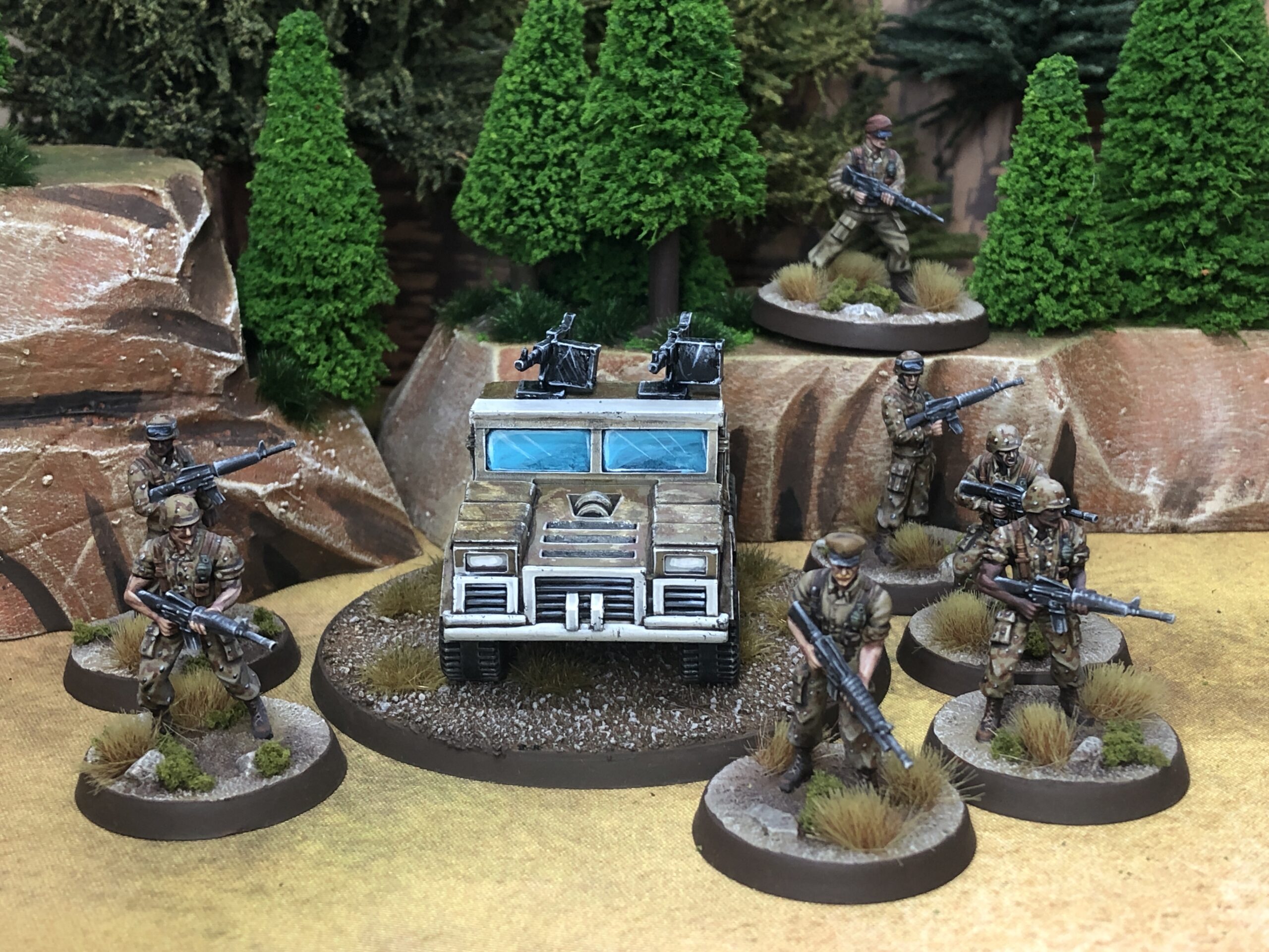 Eagle's Veterans miniatures